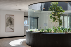 WW Atrium_800x532